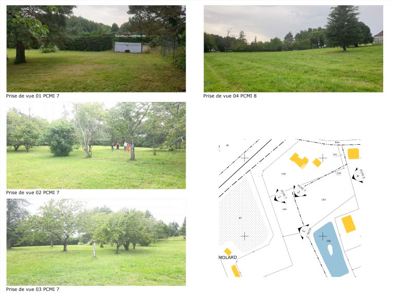 Photos proches & éloginées